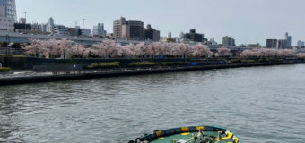 花冷えの土曜日！