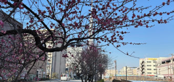 暖かな土曜日！