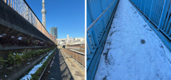 ひんやりの月曜日！