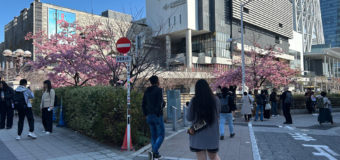 温かい土曜日！