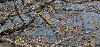 快晴の土曜日！