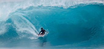 WEST SUITS 2026 Spring & Summer最新カタログ届きました。お買い得なWEST 2026 EARLY SPRING FAIR開催中です。