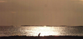 MAXIM craft suits 2026 Spring & Summer最新カタログ届きました。早期オーダーフェア開催中です。